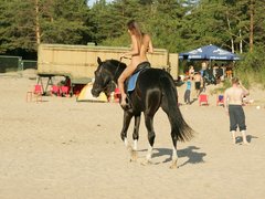 Naked Teen Riding A Horse At The Beach Turns Heads